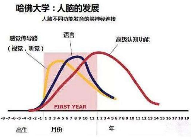 哈佛研究发现：孩子一生有3次“变聪明”的机会，千万不要错过了