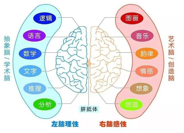 你是左脑型还是右脑型人才？来测一下吧