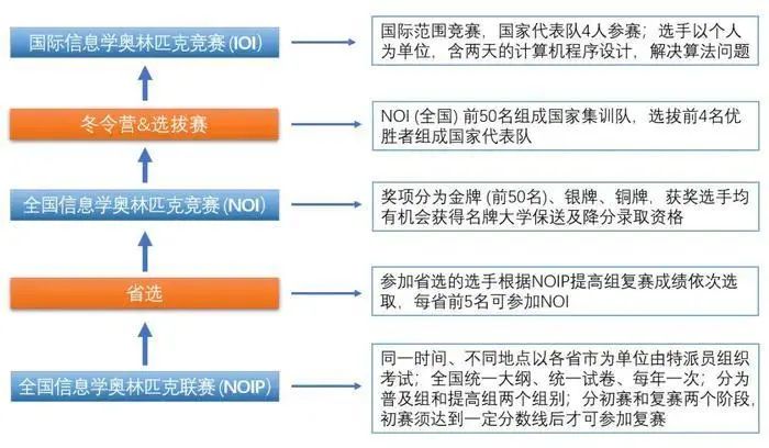 ：重要！信息学奥赛全面解读，家长必看！