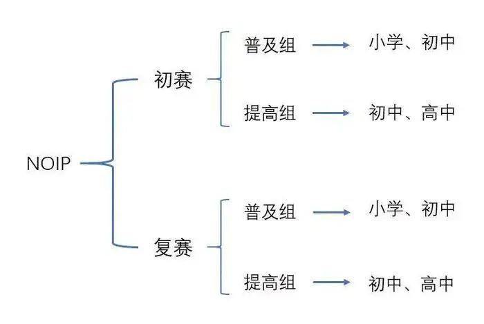 极客晨星：重要！信息学奥赛全面解读，家长必看！